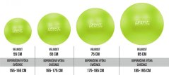 Gymnastický míč LIFEFIT® ANTI-BURST 65 cm, zelený