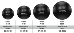 Gymnastický míč LIFEFIT® ANTI-BURST 75 cm, černý