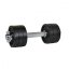 Činka nakládací RULYT® Angular jednoruční 11 kg, 30mm tyč/6x kotouč